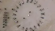 Military Training Begins still