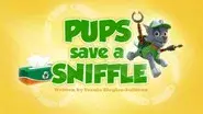 Pups Save a Sniffle still