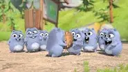 Tick Tock Bear still