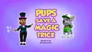 Pups Save a Magic Trick still