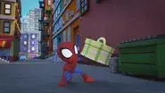 Speedy Spidey Delivery still