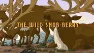 The Wild Snob-Berry still