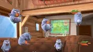 Target Bear still