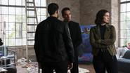 Black Penguin still