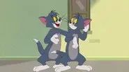 Top of the Heap / Stunt Double Trouble / Surfer Supreme / Kabuki Cat still