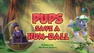 Pups Save a Hum-Ball still