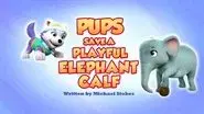 Pups Save a Playful Elephant Calf still