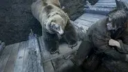 The Bear and the Maiden Fair still
