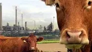 A Farm for the Future still