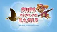 Pups Save an Eagle still