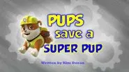 Pups Save a Super Pup still