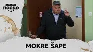 2436 Mokre šape still