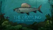 The Grayling: River Ure, Yorkshire Dales still