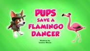Pups Save a Flamingo Dancer still