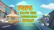 Pups Save the Meditation Dome still