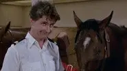 Secretary to the Stars/Julie's Decision/The Horse Lover/Gopher and Isaac Buy a Horse still