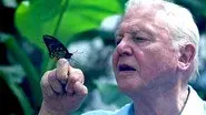 Attenborough's Ark still