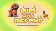 Pups Save a Duck Pond still