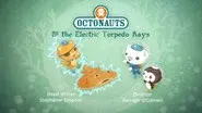 The Electric Torpedo Rays still