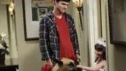 A Big Bag of Dog still
