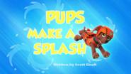 Pups Make a Splash still