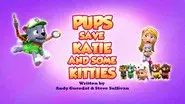 Pups Save Katie and Some Kitties still