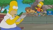 A Tree Grows in Springfield still