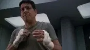 The Fight still
