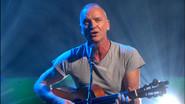 Sting still