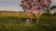 Hatsukoi still