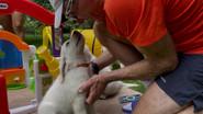 3/12/2023: Tales of our Four-Legged Friends still