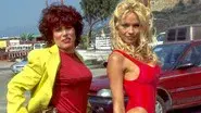 Pamela Anderson still