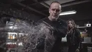 From the Ashes still