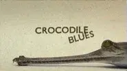 Crocodile Blues still