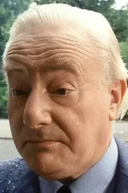 Wim van den Brink