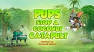 Pups Stop a Coconut Catapult still