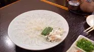 Exceptional Fugu Sashimi still