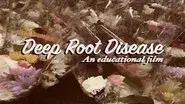 Deep Root Disease still