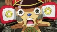 The Curtain Falls! The Winner, Straw Hat Luffy! still