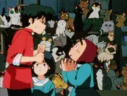 You Really Do Hate Cats! still
