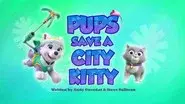 Pups Save a City Kitty still
