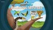 Billabong Mystery still