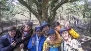 Jeju Island (2) still