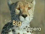 Five Big Cats and a Camera still