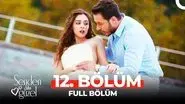 EfMir still