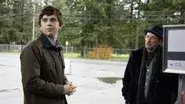 Fractured still