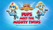 Mighty Pups, Super Paws: Pups Meet the Mighty Twins still