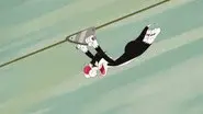 Zip Line still
