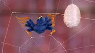 The Itsy Bitsy Spider Search still
