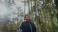 Forests still